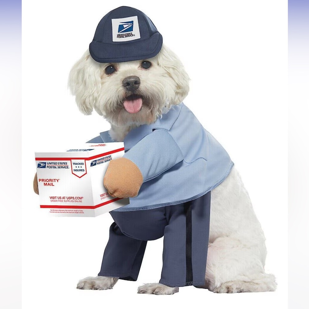 USPS Delivery Driver Dog & Cat Costume